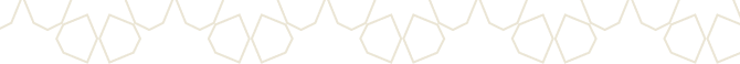 section border